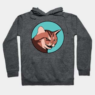 Funny Animal Graphic Design - Scheming Cat Hoodie